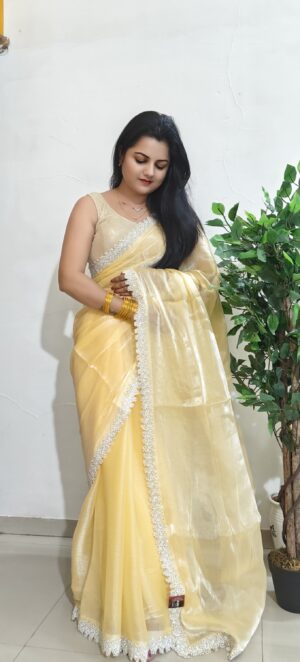 Sitara organza crape silk designer saree