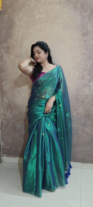 Raaga Tissue silk saree