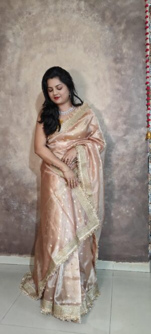 Indrani Banarasi tissue silk saree